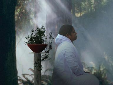 Un insegnamento di Amma per il bene della natura