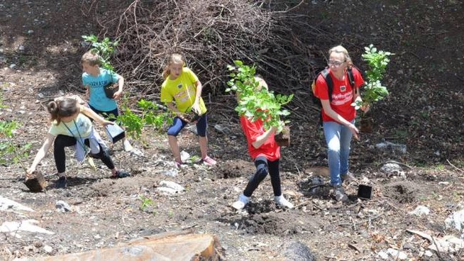 Il Giorno – Varese: Varese, trecento nuovi alberi al Campo dei Fiori