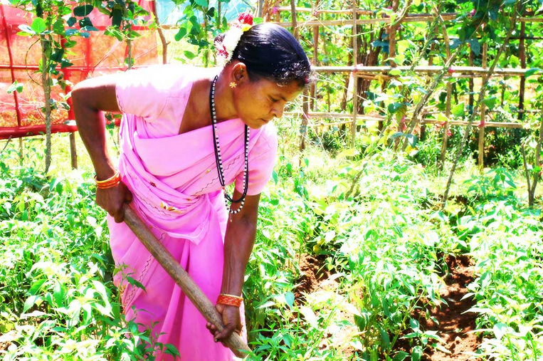 La trasformazione della comunità musahar in Bihar