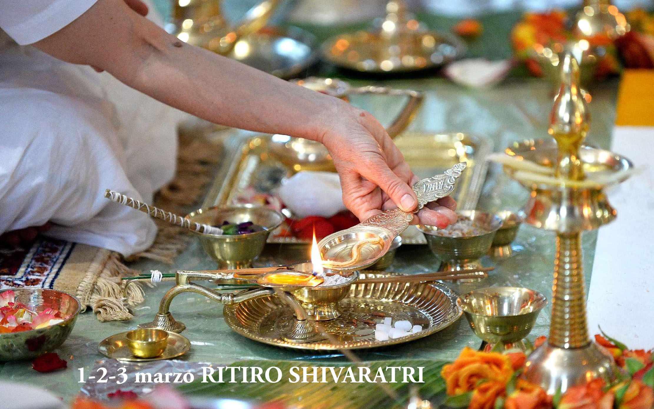 Ritiro di Shivaratri 2019: ricordi e condivisioni