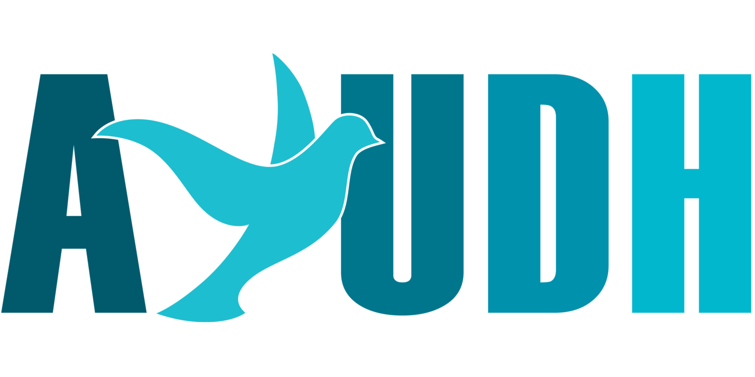 Unisciti a noi per il 22° Summit europeo dei giovani AYUDH: dal 26 luglio al 2 agosto 2026, presso il M.A. Center in Germania
